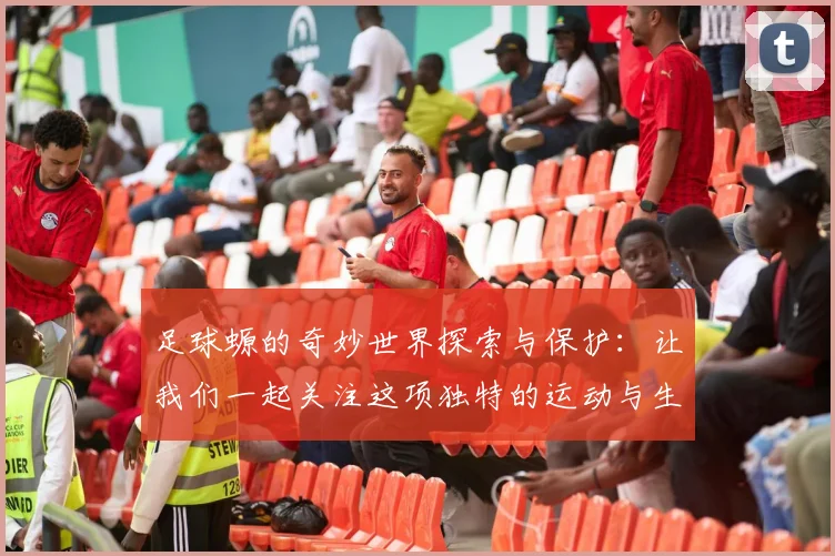 足球螈的奇妙世界探索与保护：让我们一起关注这项独特的运动与生物的未来