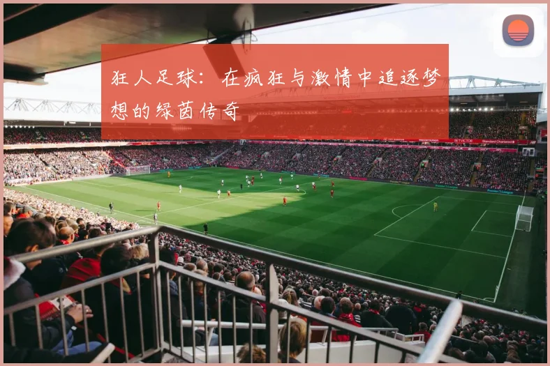 狂人足球：在疯狂与激情中追逐梦想的绿茵传奇