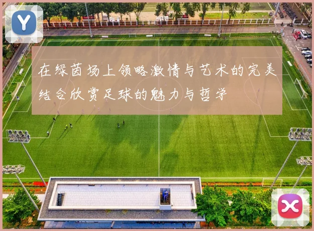 在绿茵场上领略激情与艺术的完美结合欣赏足球的魅力与哲学